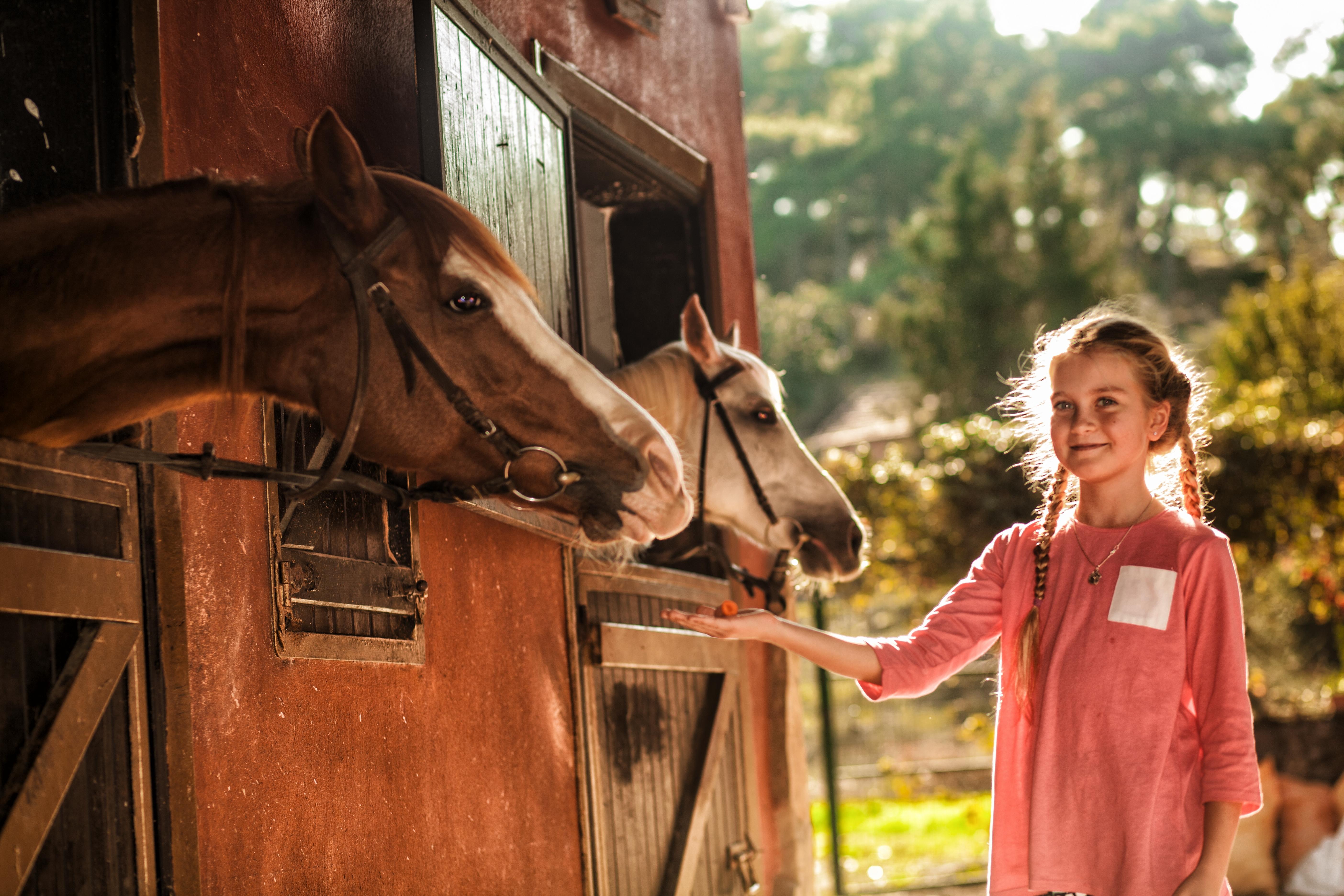 Hotel Berke Ranch&Nature Kemer Extérieur photo