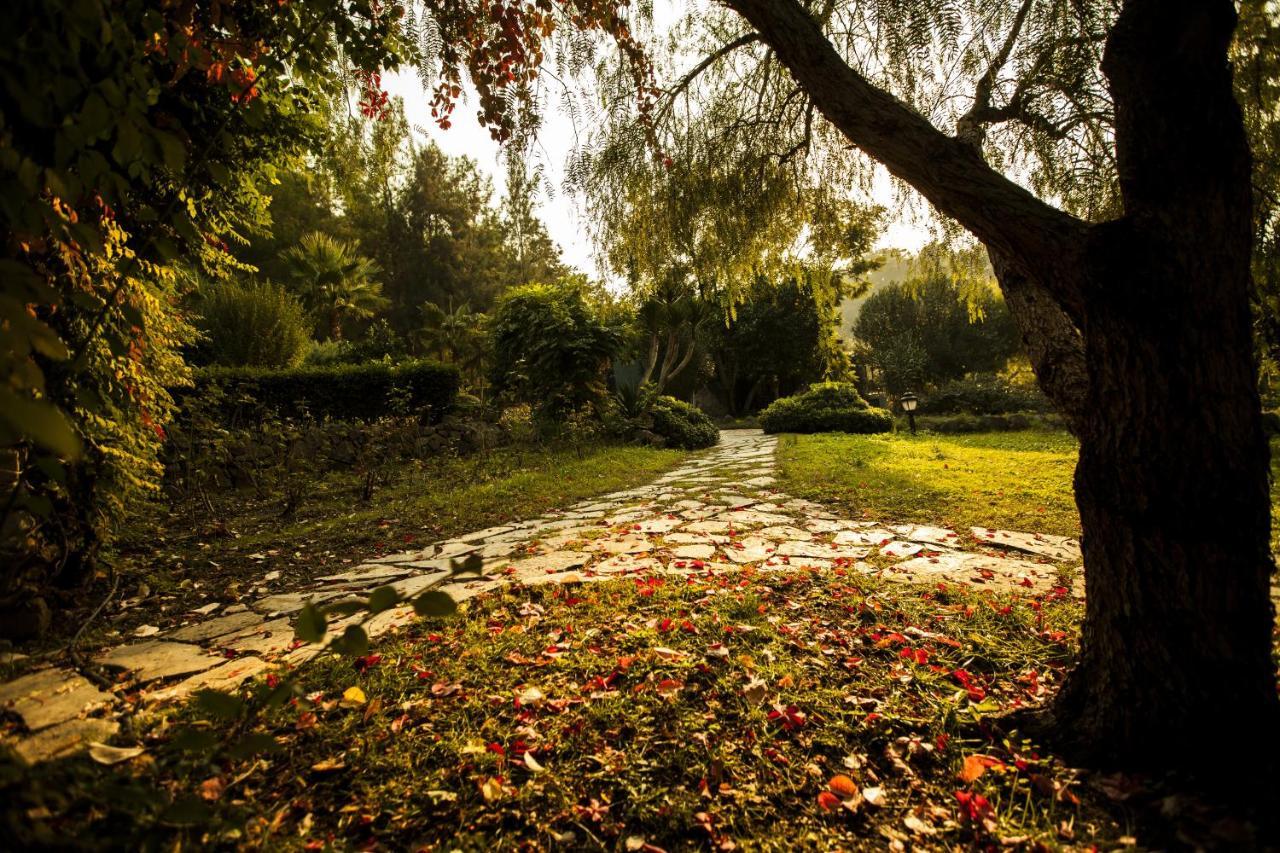 Hotel Berke Ranch&Nature Kemer Extérieur photo
