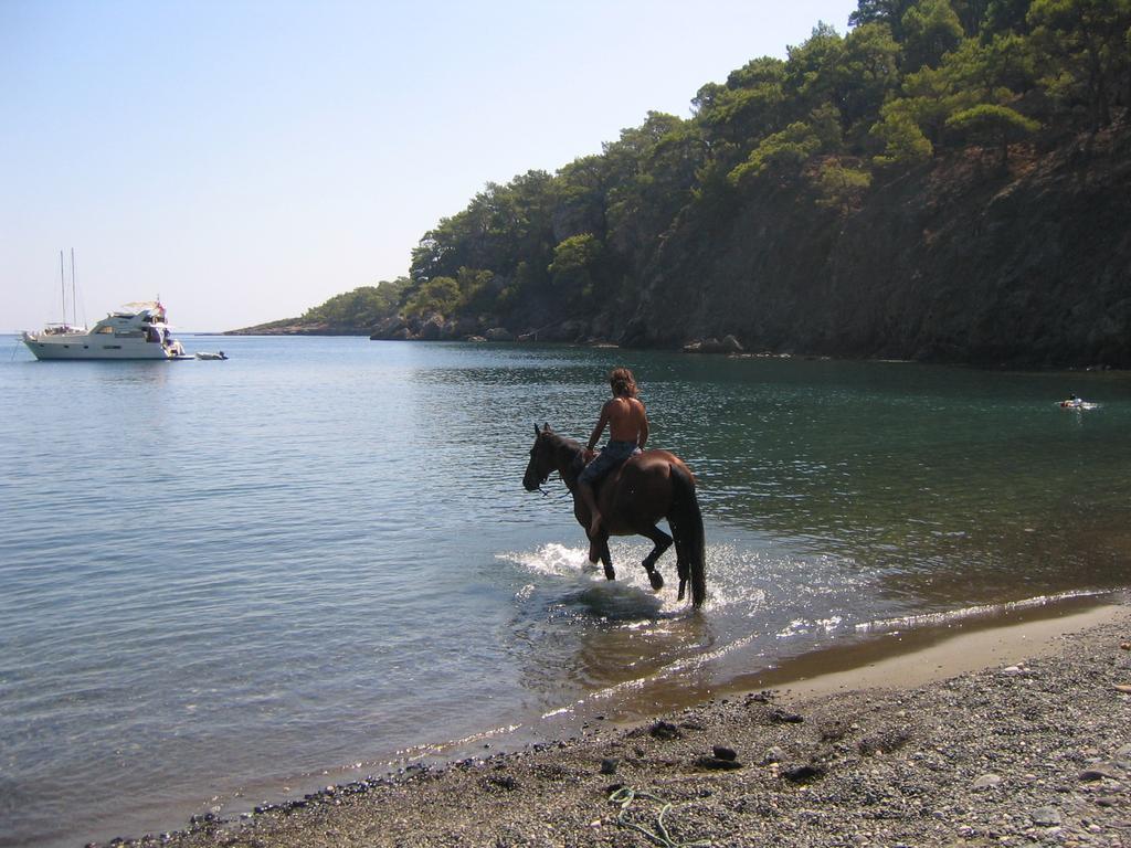 Hotel Berke Ranch&Nature Kemer Extérieur photo