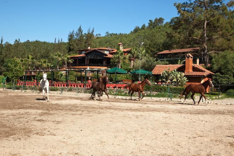 Hotel Berke Ranch&Nature Kemer Extérieur photo